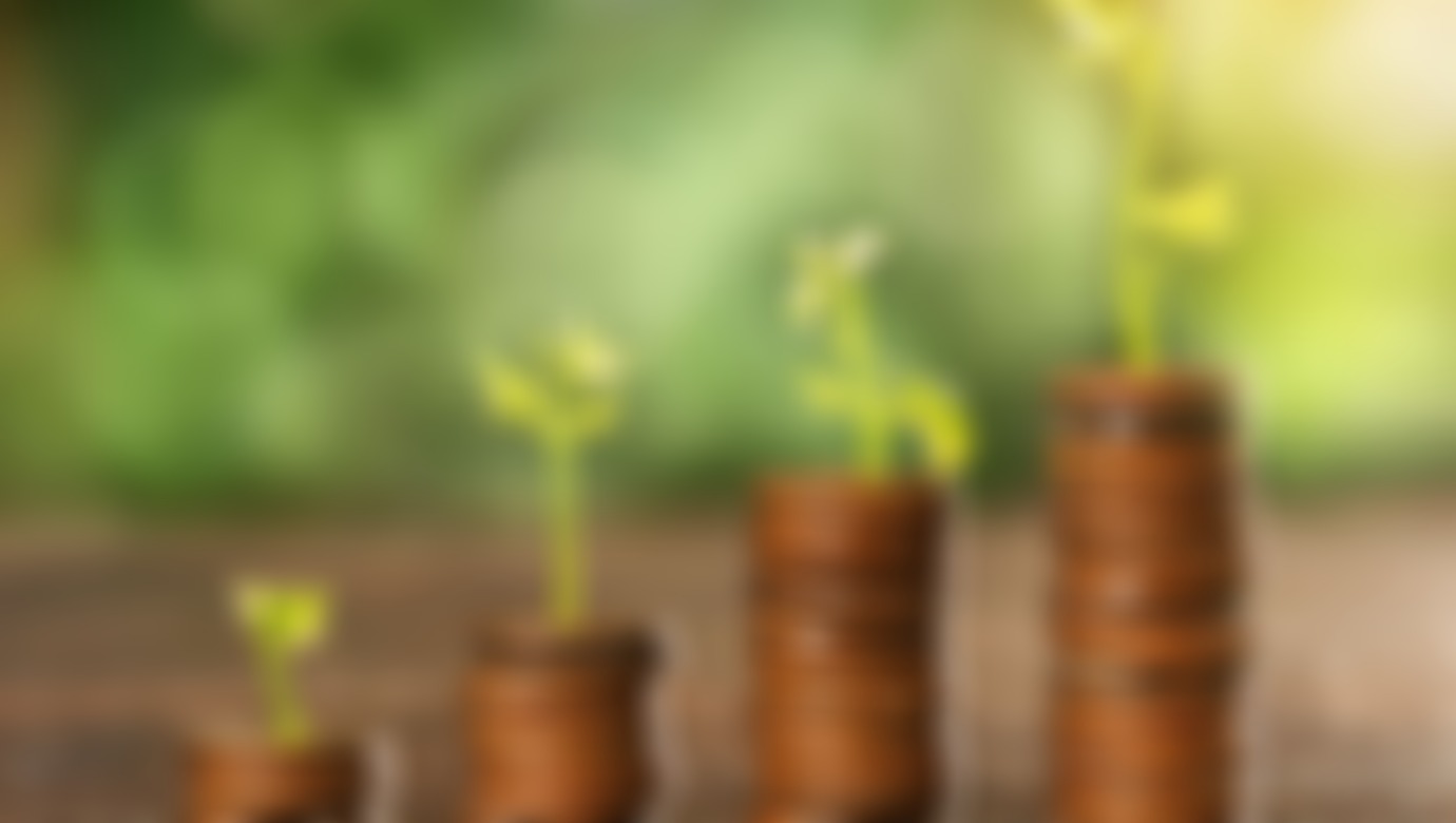A thumbnail showcasing stacks of pennies getting larger, with a small plant on top of each.